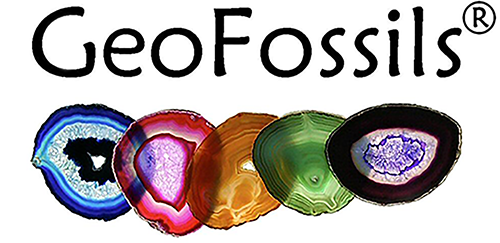 Geofossils Coupons and Promo Code