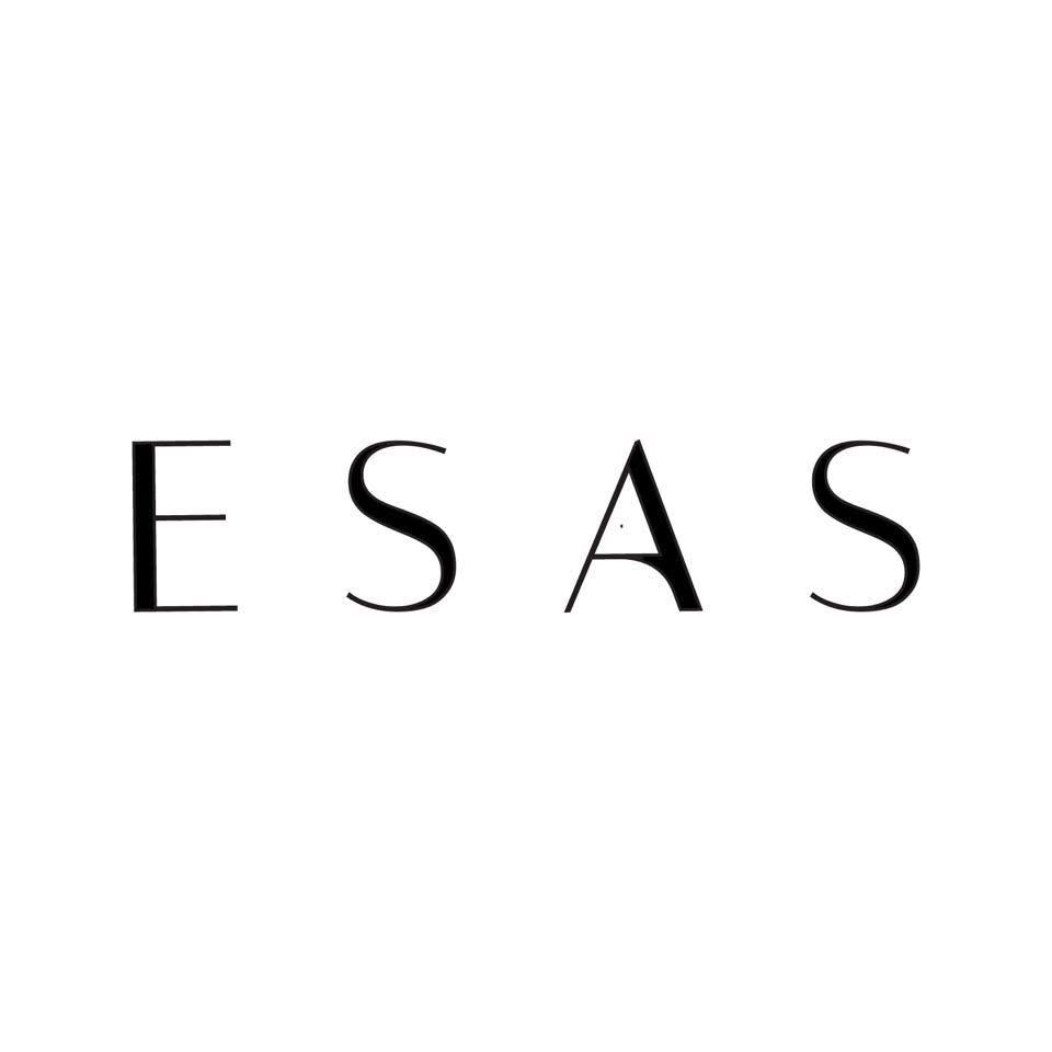 ESSANYC logo