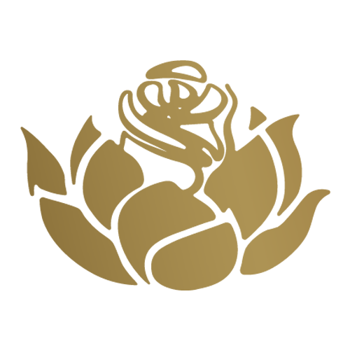 Shankara india logo
